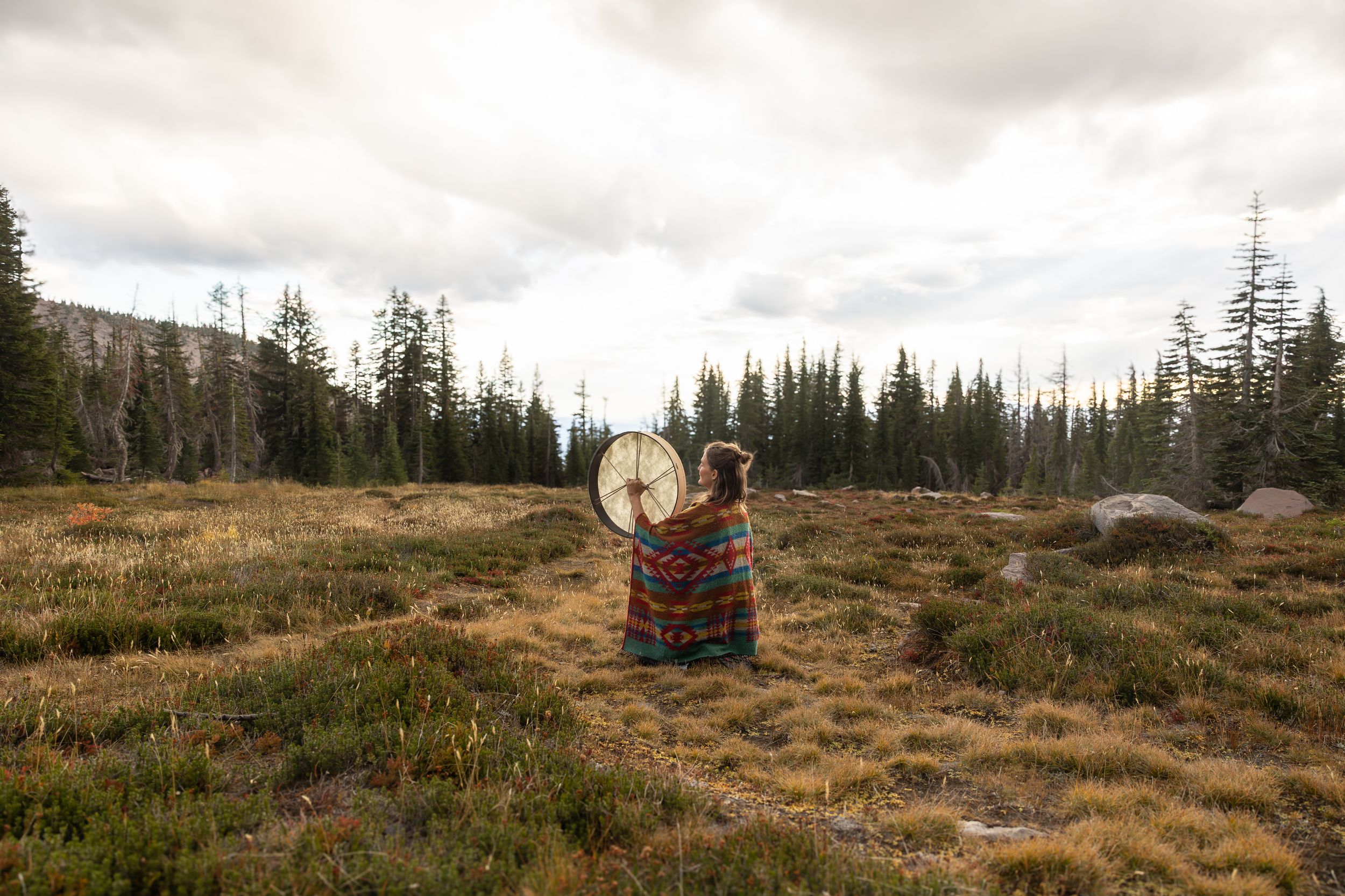 A colorful chairlift on a grassy mountain slope during autumn with evergreen trees in the background.