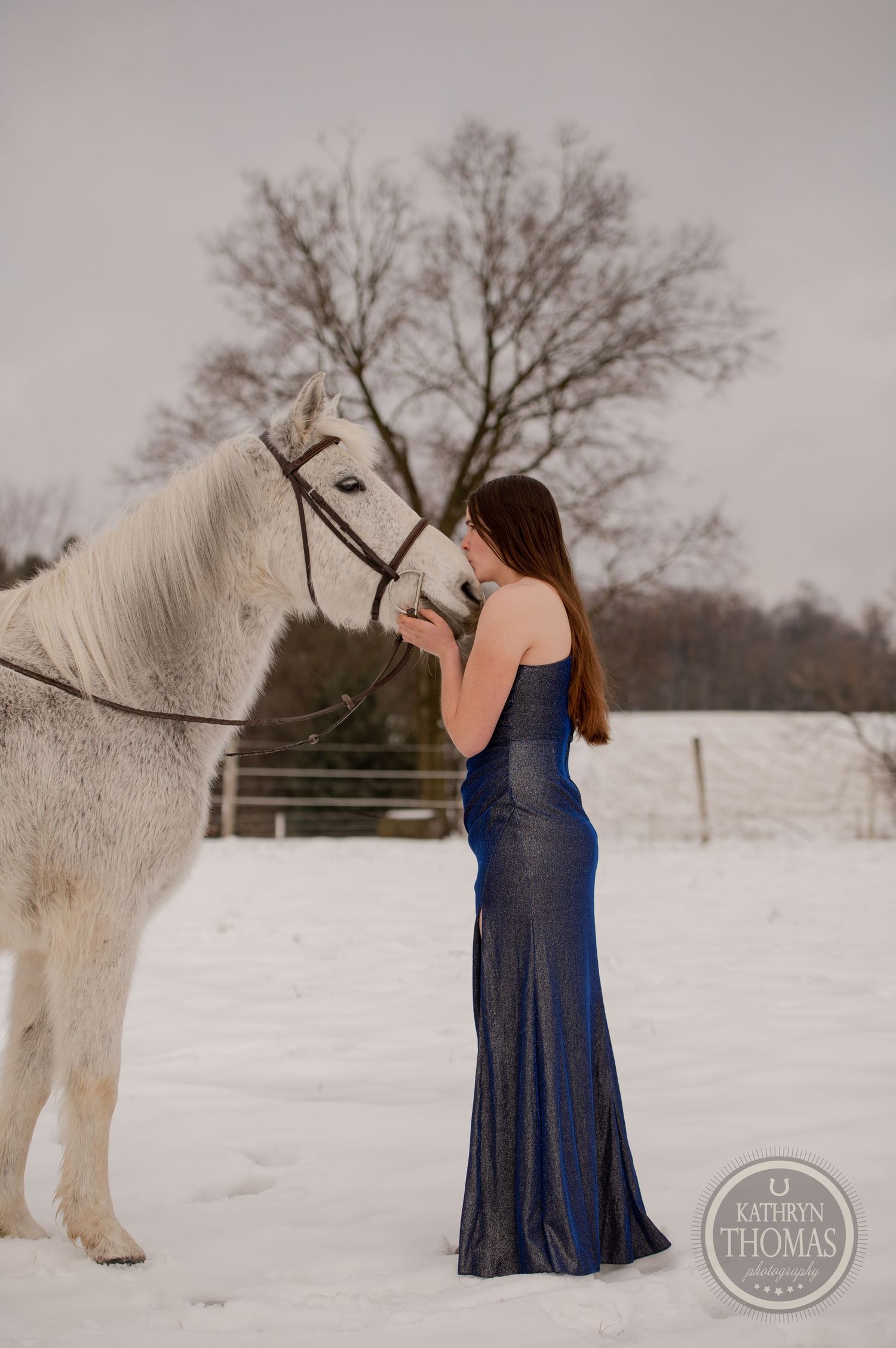 Elegant navy gown and white horse create striking contrast against snowy winter landscape and bare trees.
