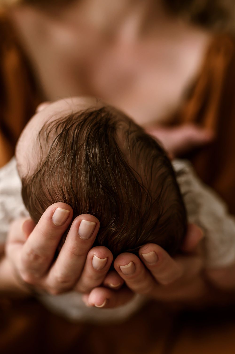 A close-up view of a baby's head cradled in an adult's hands, showing the delicate hair and skin of the infant.