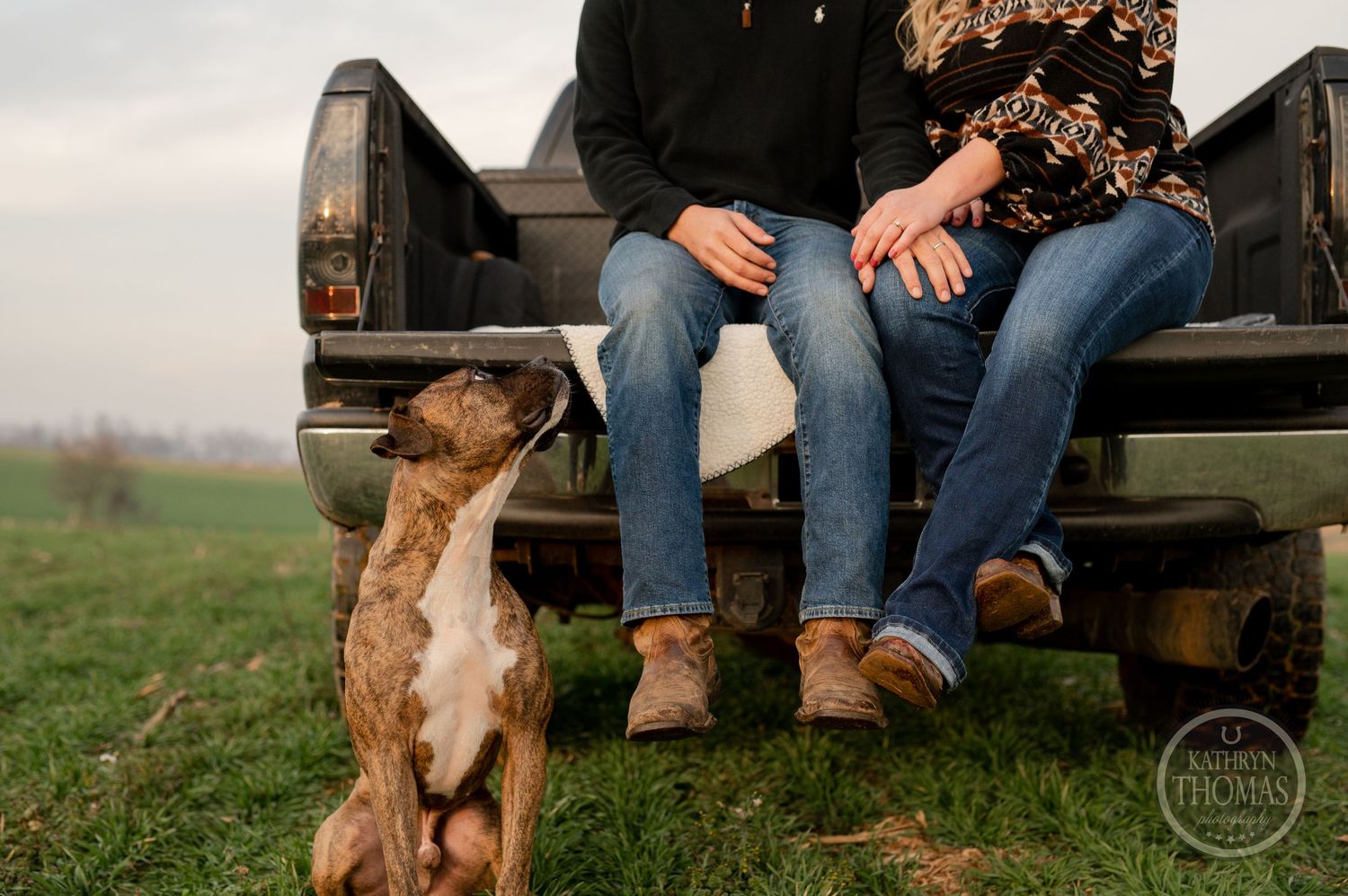 A couple sits on a truck tailgate while their dog looks up at them expectantly.