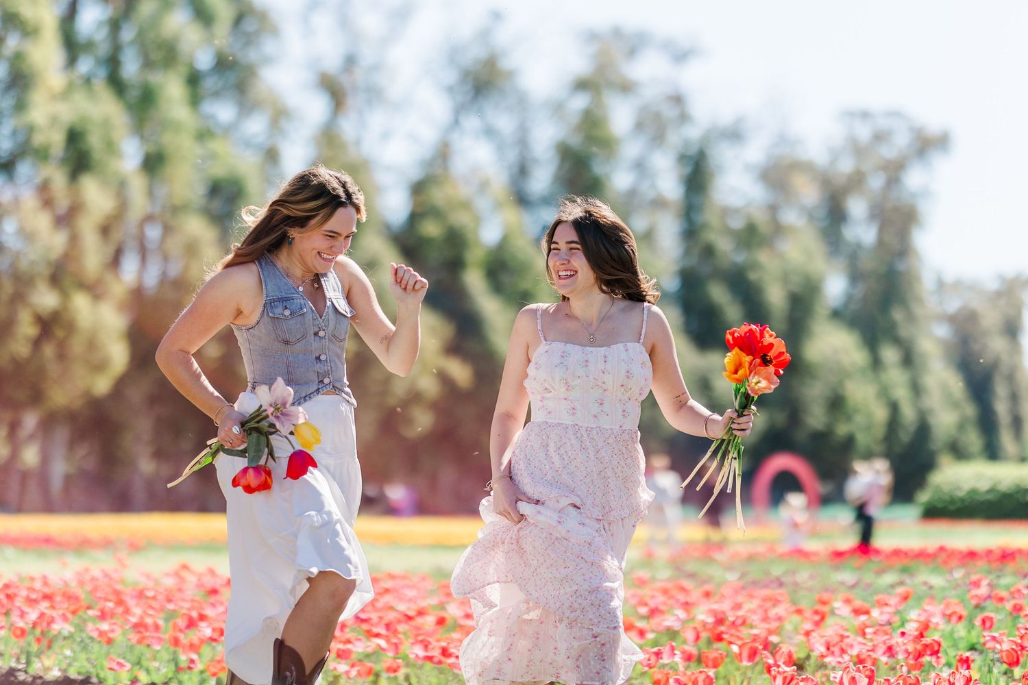 Two people walking through a vibrant red tulip fields on a sunny day holding bouquets of flowers. At Underwood Farms in Moorpark CA.