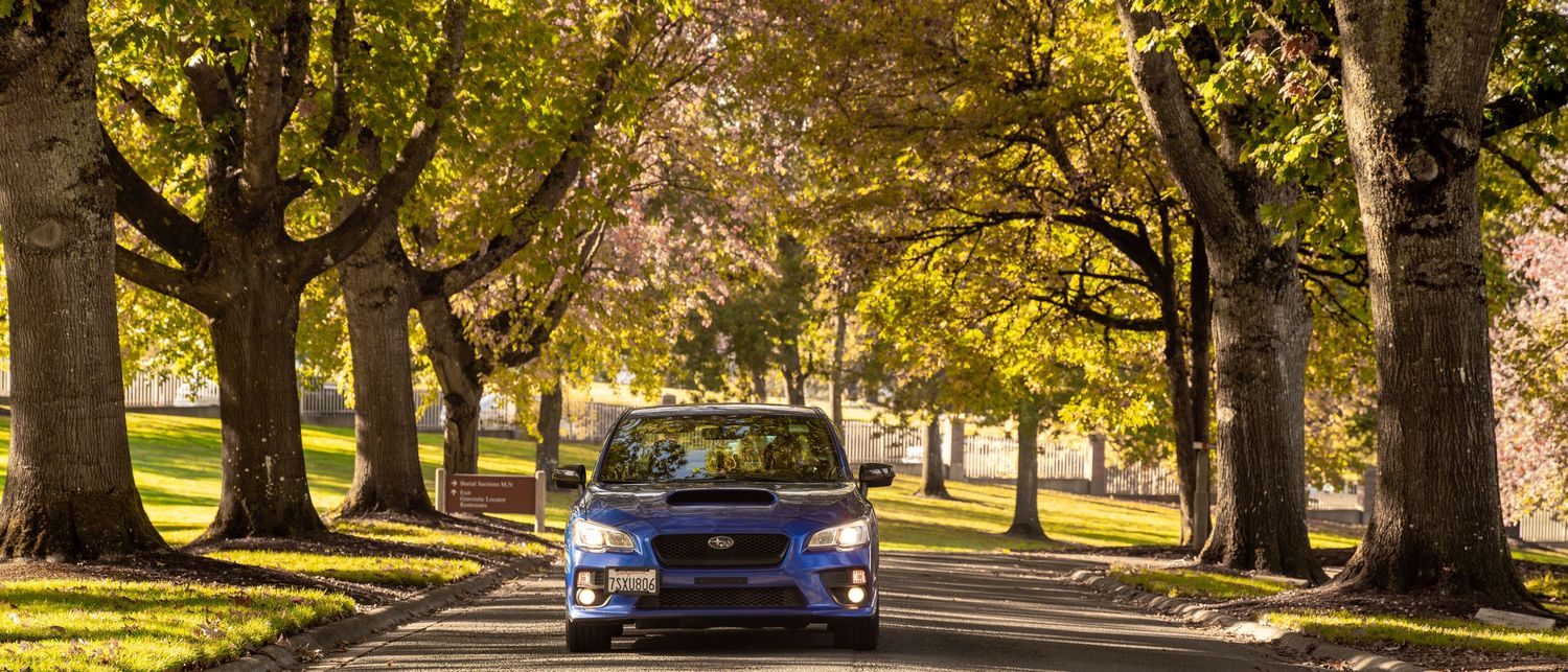 A 2017 Subaru WRX driving down our road coming toward you with trees creating a tunnel effect going over the road