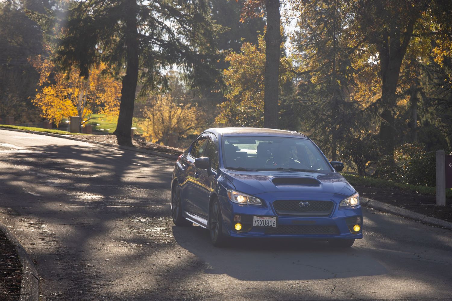 2017 Subaru WRX driving down a curvy Road coming toward you
