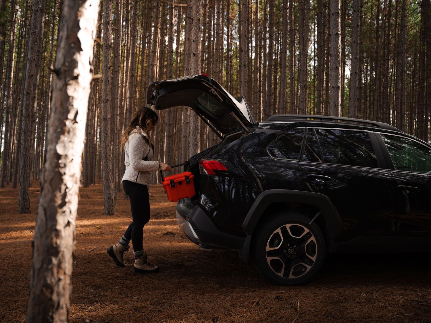 Sleek black sports car parked among tall pine trees in forest setting.