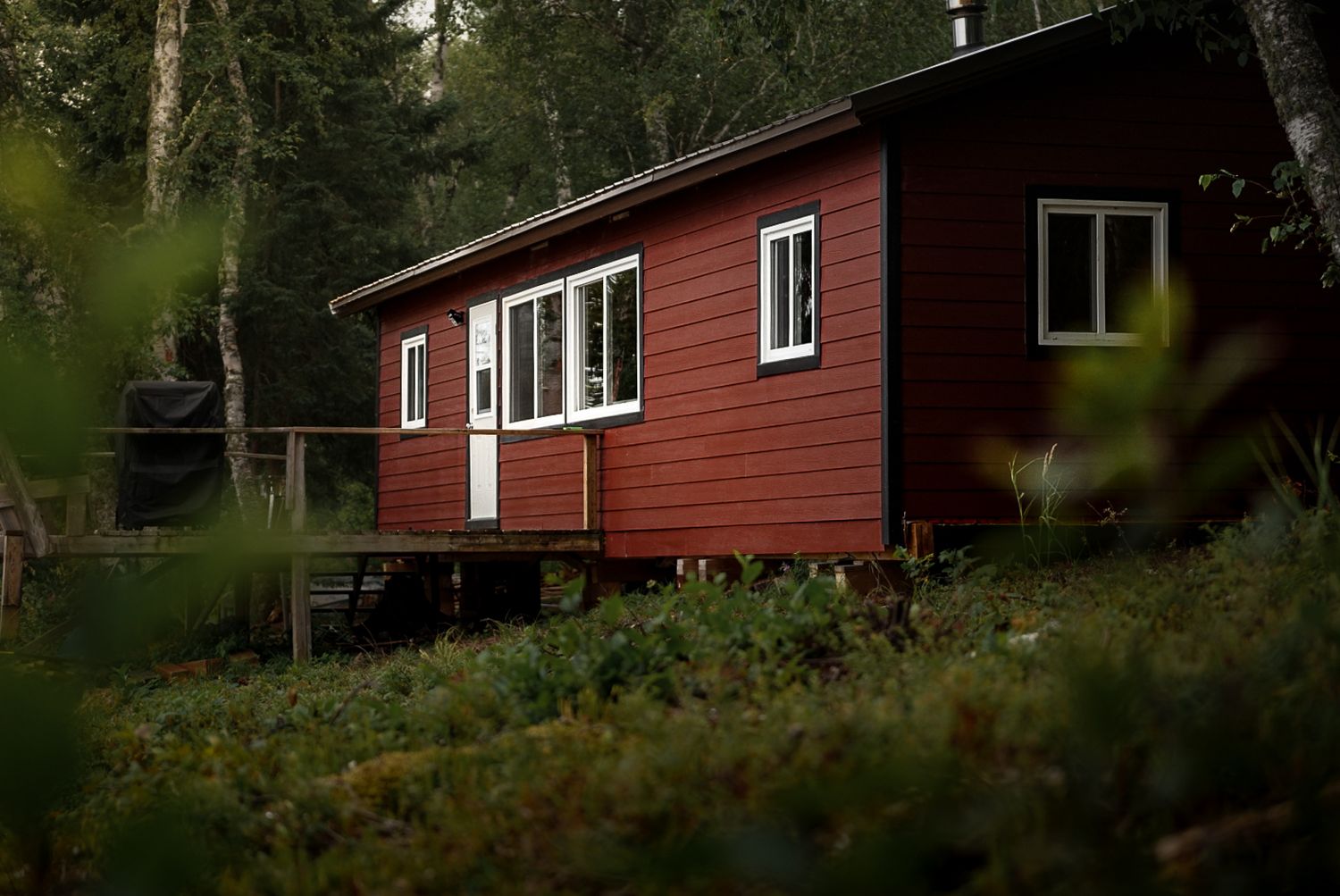 Red wooden cabins nestled among trees at a lakeside resort.