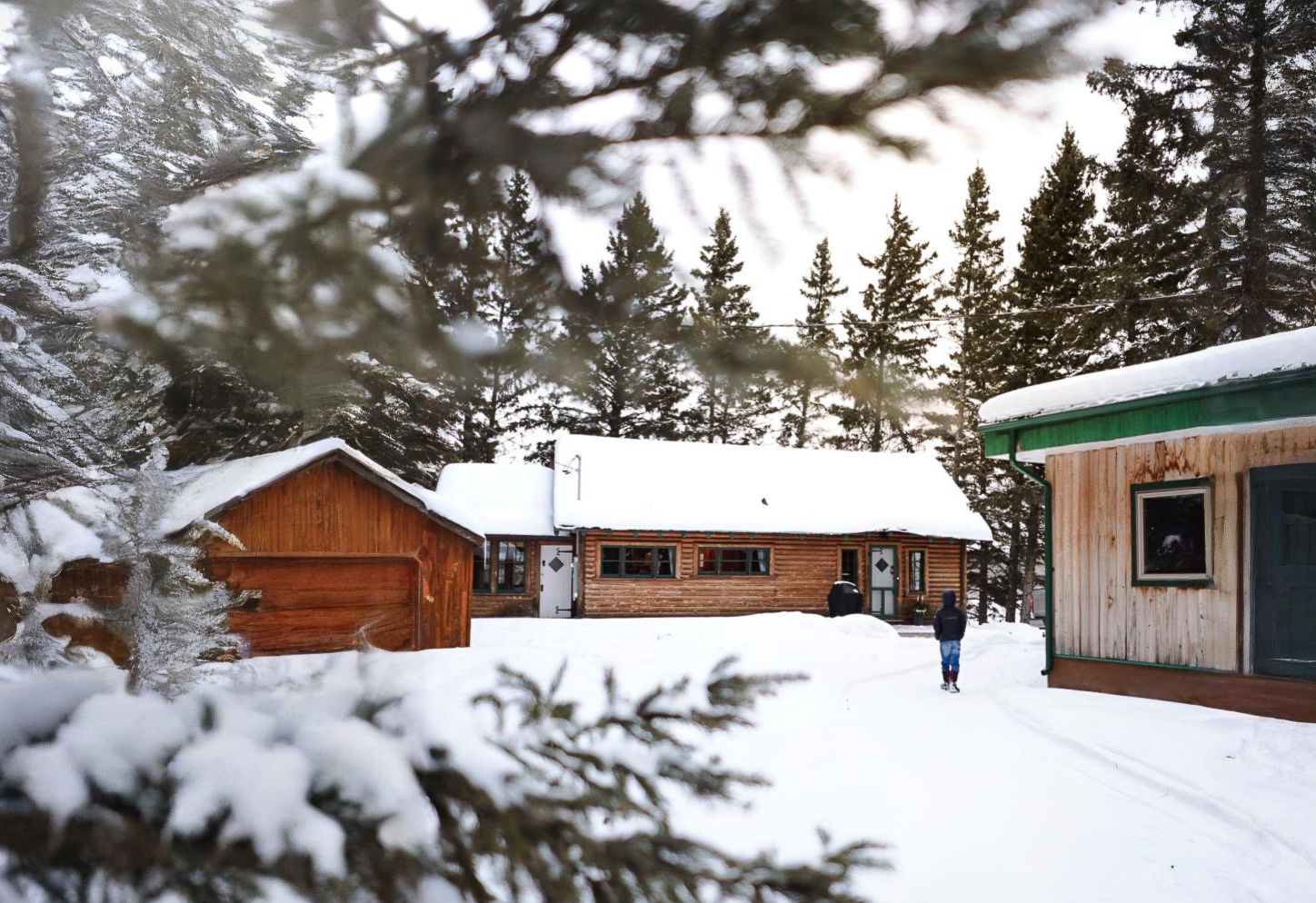 Snow-covered wooden cabins nestled among pine trees in winter.