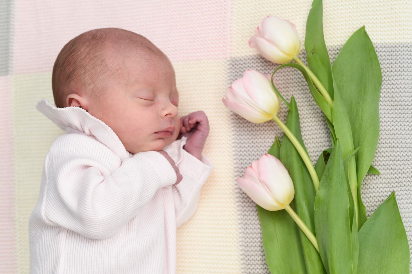 A sleeping newborn baby nestled beside a bouquet of pink tulips, captured in Abigail's Studio, Buckinghamshire.