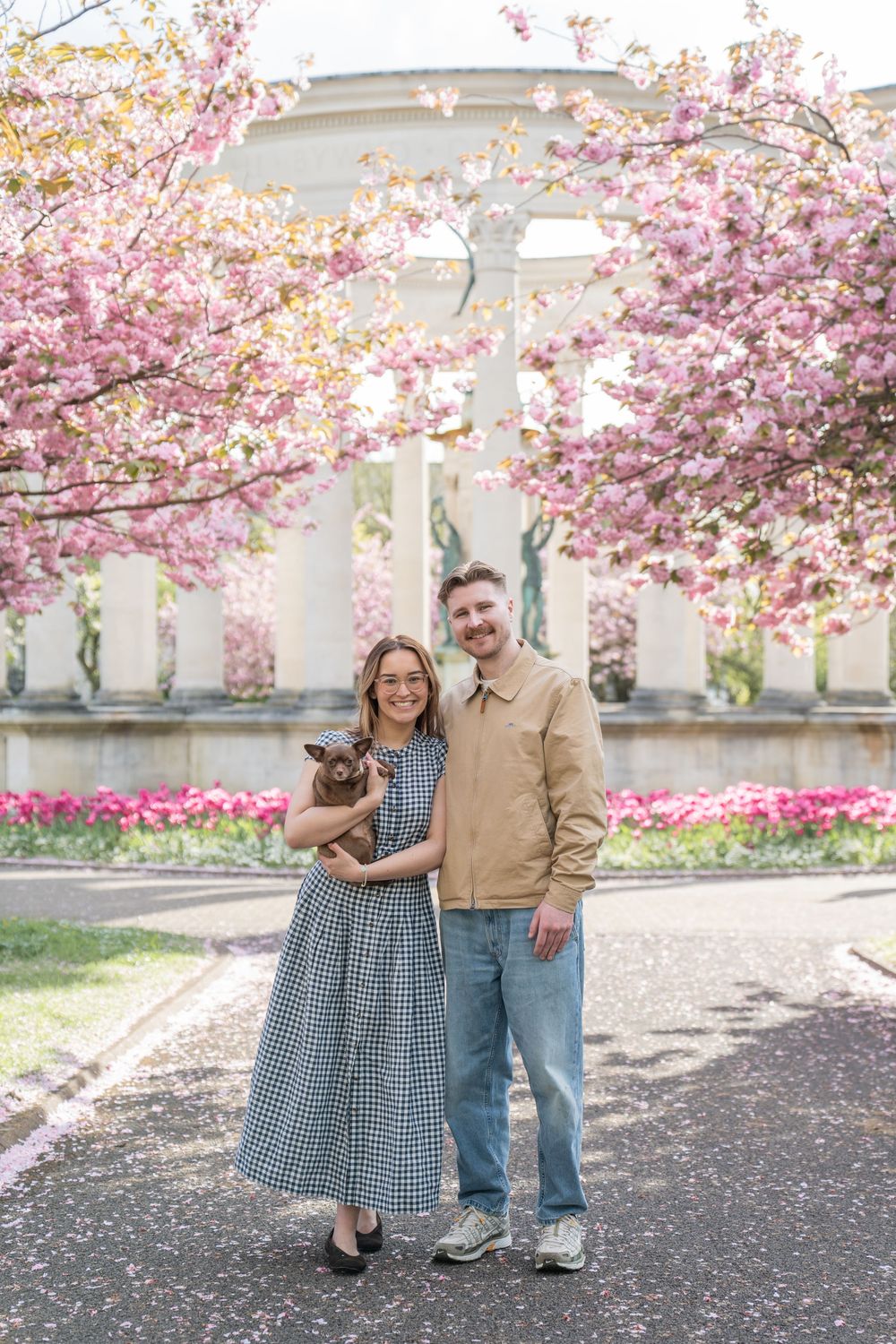 Couple smiling with small dog among pink cherry blossom trees near white gazebo with tulips in spring garden.