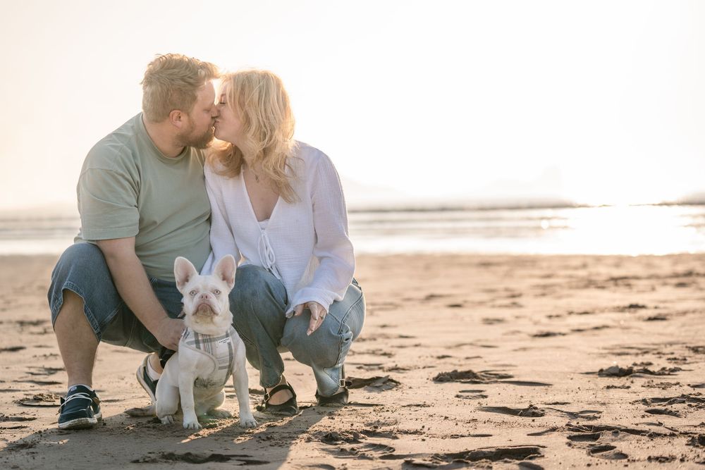 Couple kissing on a sunny beach while crouching beside a small white French Bulldog on golden sand.