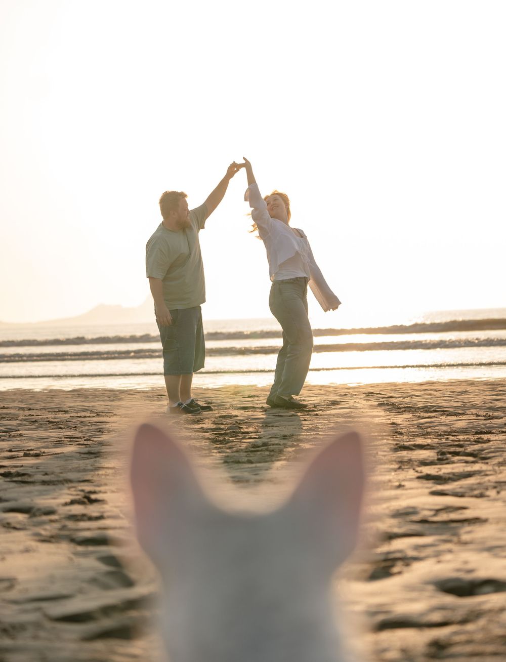 Two people dancing on a beach at sunset while a white dog watches them from the foreground.