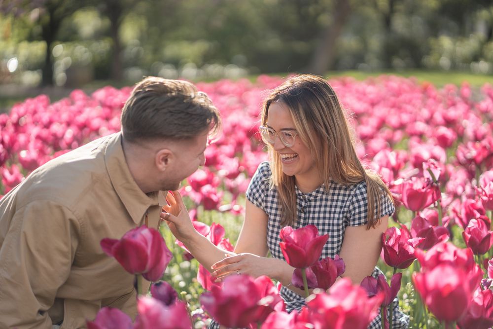 Couple smiling and smelling pink tulips in a blooming flower field on a sunny day.