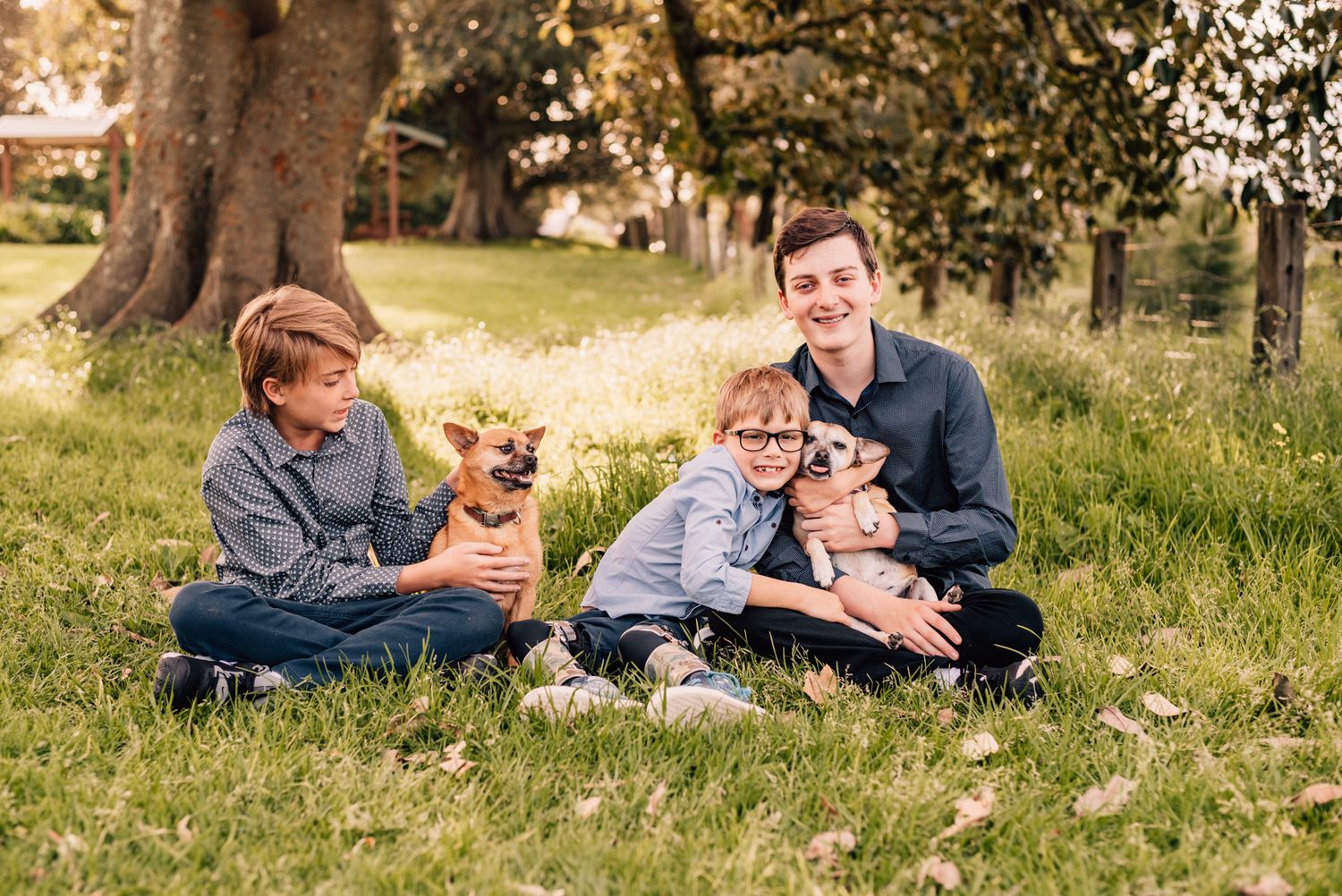 Three brothers sit together on grassy hill during outdoor photo session hugging their two dogs.