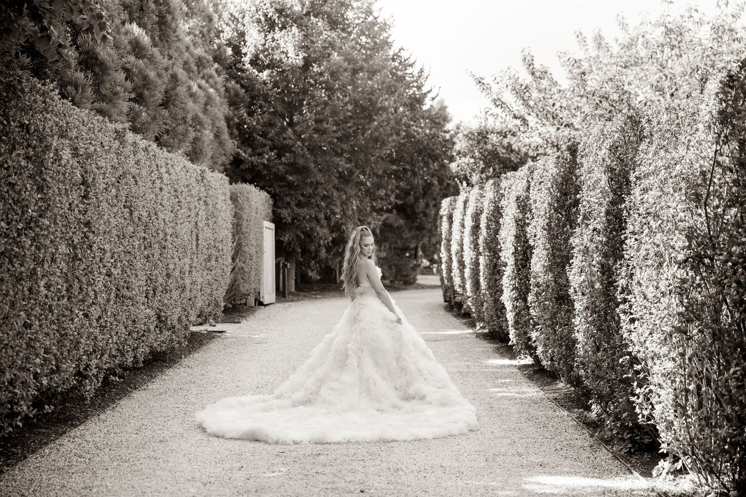 Classic black and white photo of wedding dress train along manicured garden pathway.