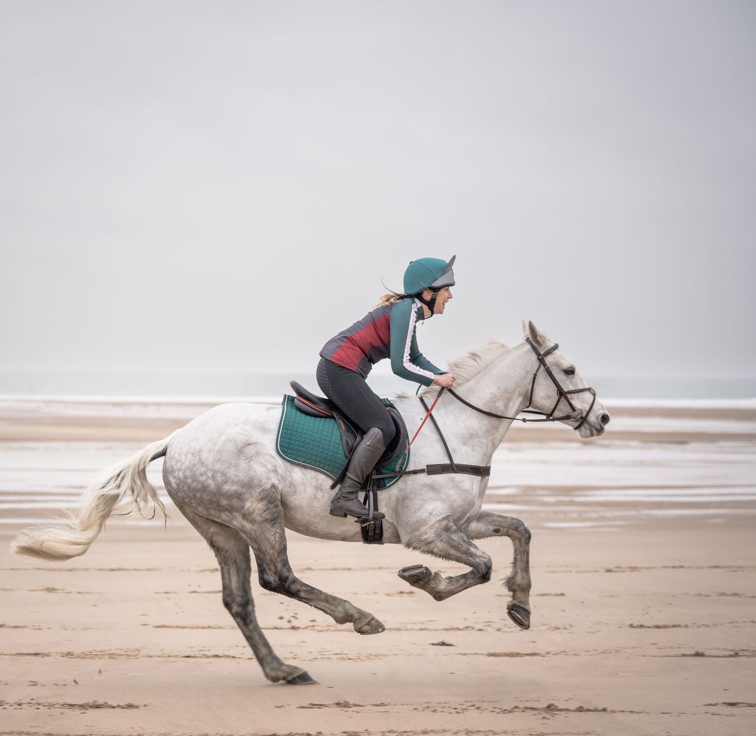 Sequence of a horse bucking on a beach while being ridden.