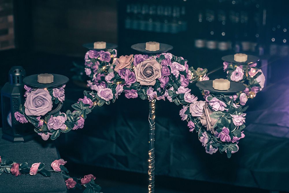 A multi-frame photo strip view of pink roses illuminated against a dark background.