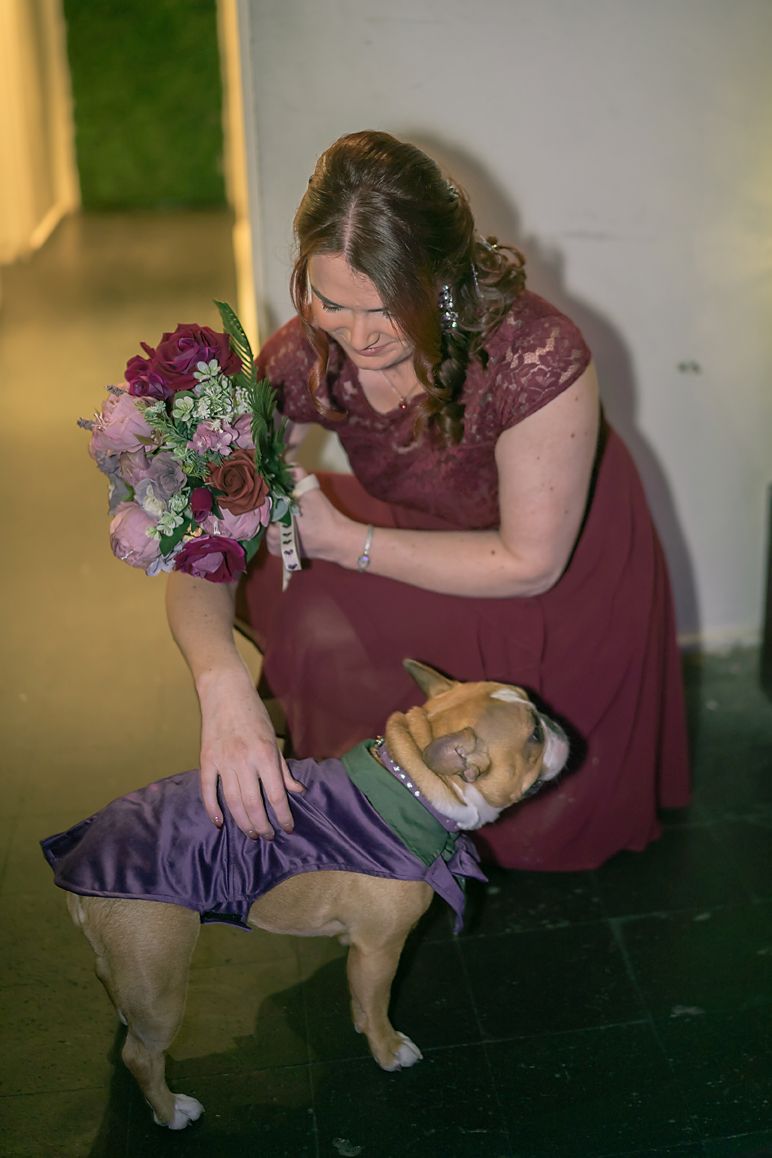 A burgundy-dressed guest dances with a sleepy dog wearing purple at an evening event.