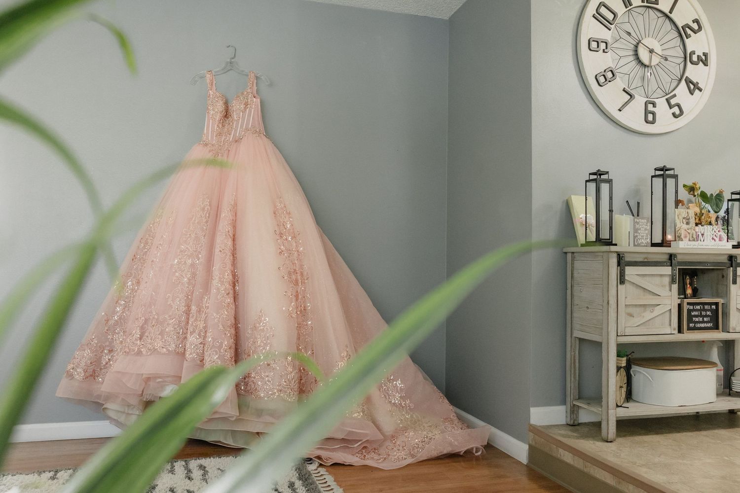 Blush pink ballgown with lace details hanging in a gray room with rustic furniture and plants.