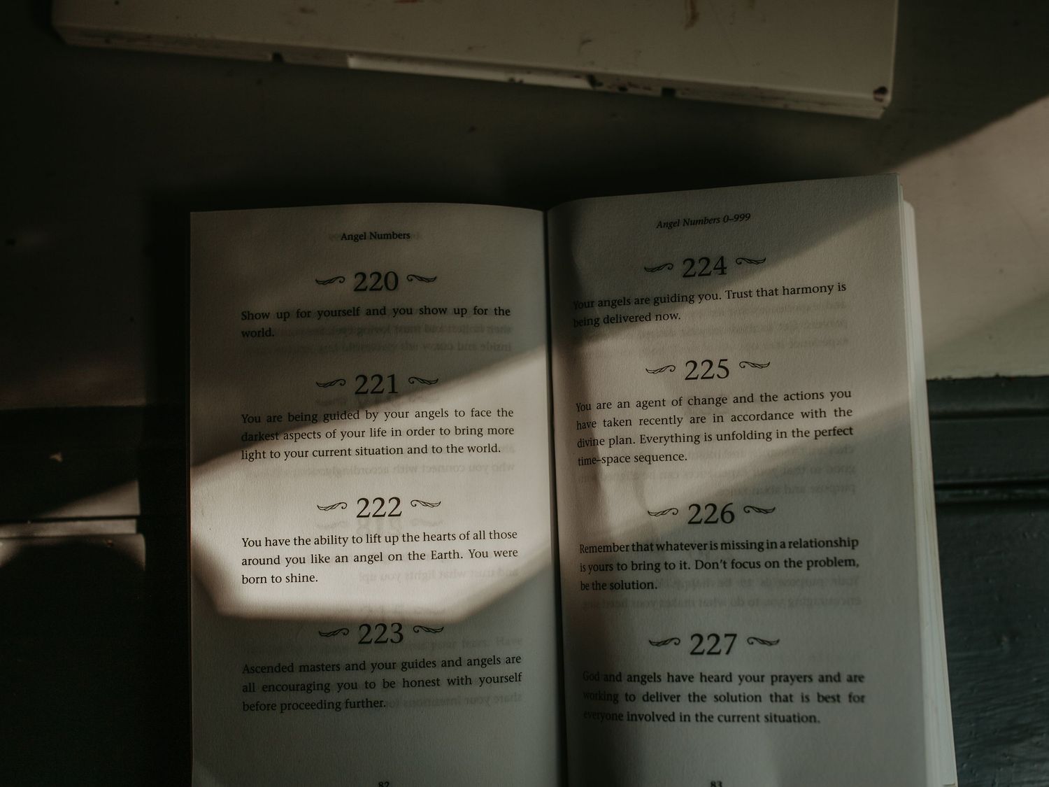 Open photo album showing sequential page numbers and text segments in a dimly lit setting.