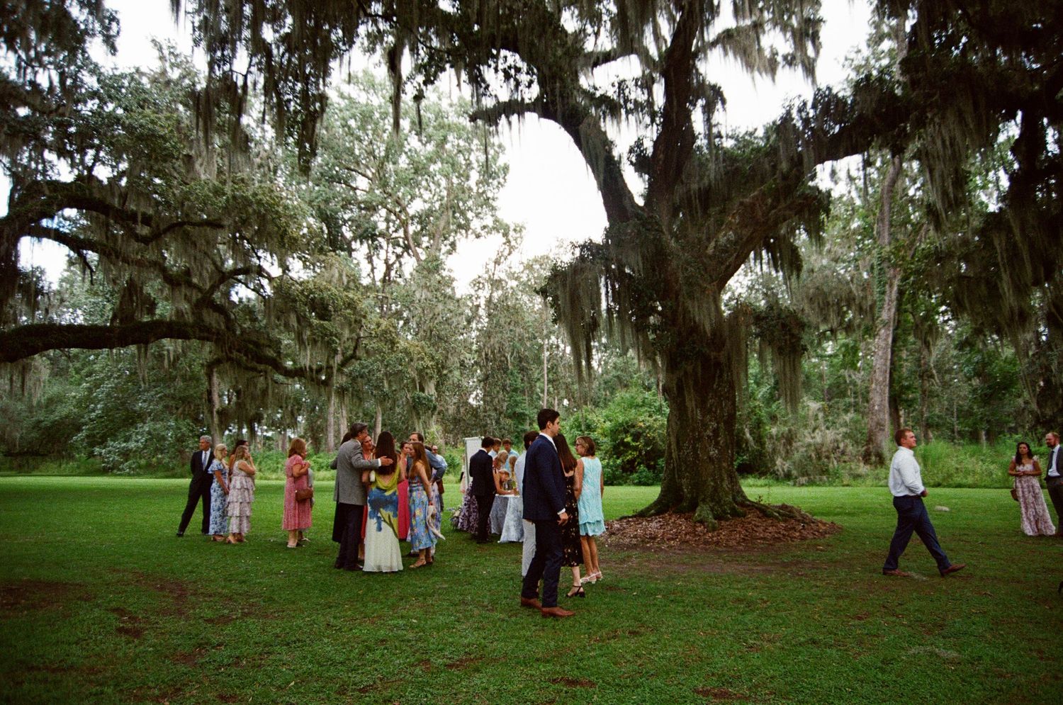 Wedding party gathers under moss-draped oak trees in a scenic outdoor garden setting during a celebration.
