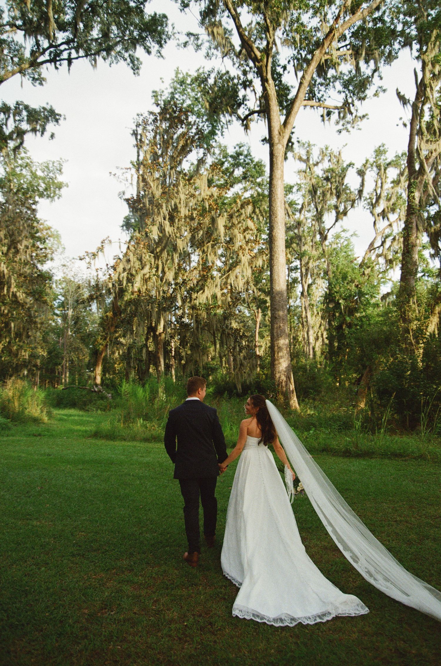 A couple in wedding attire walks through a scenic eucalyptus grove as sunlight filters through the trees.