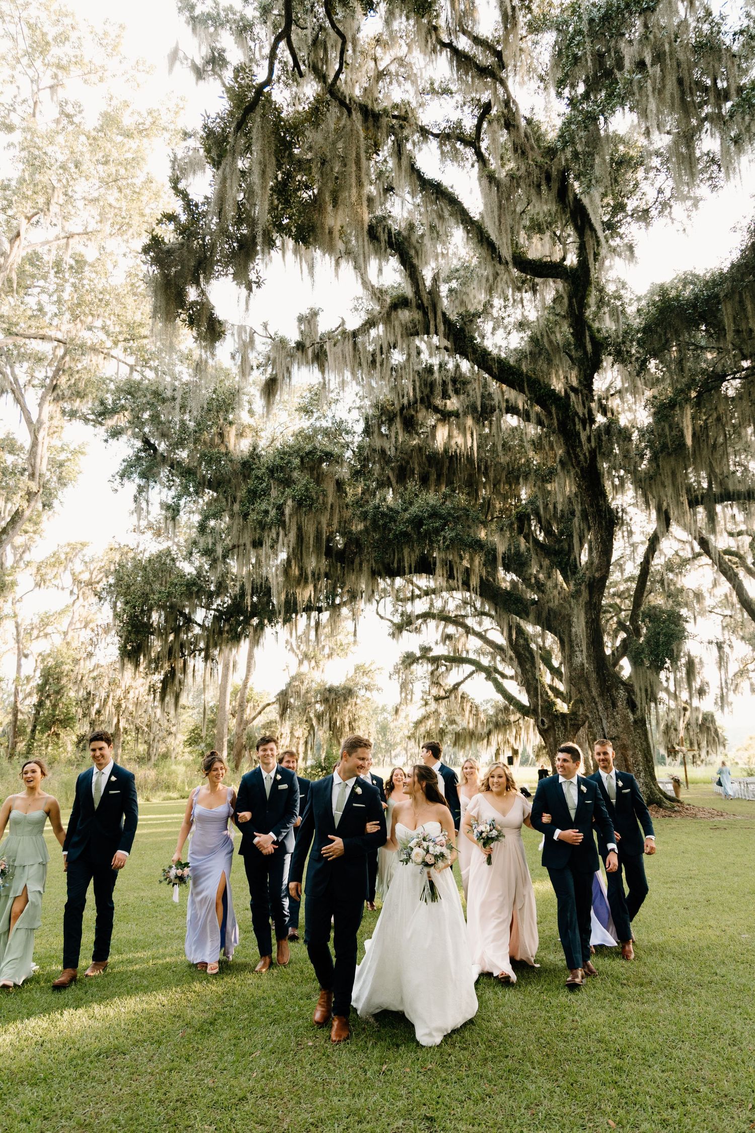 Wedding party walking together on grassy lawn with Spanish moss draped trees in background.