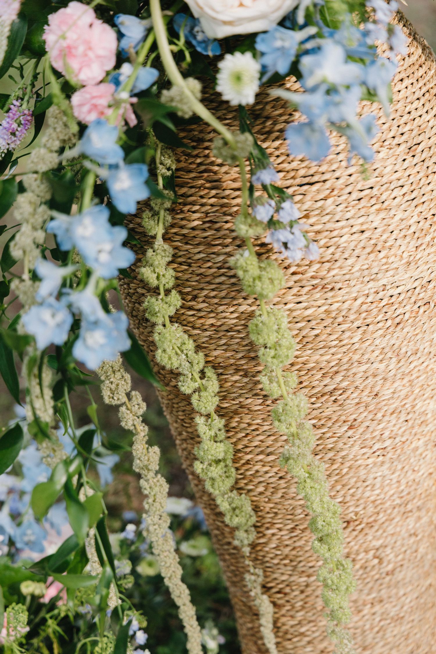 Delicate pink roses and blue delphiniums cascade against a natural woven rattan or wicker background.