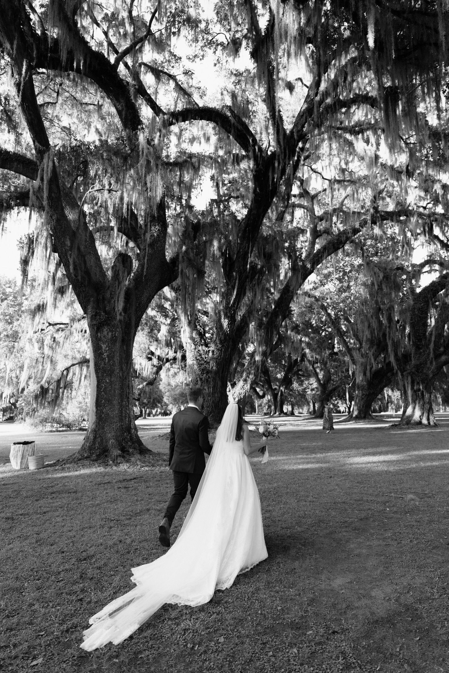 A couple in wedding attire stands beneath a majestic Spanish moss-draped oak tree in a romantic outdoor setting.
