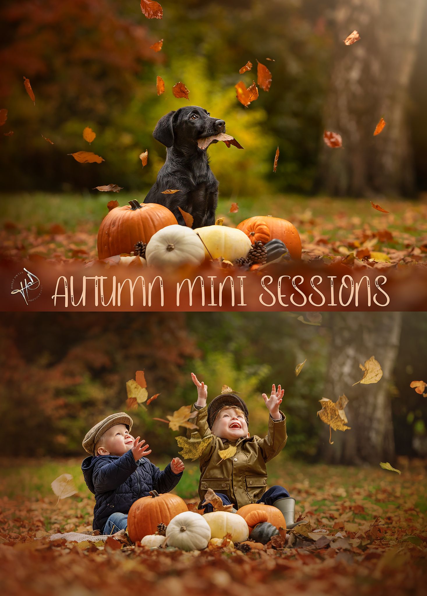 Dog photographer Cheshire