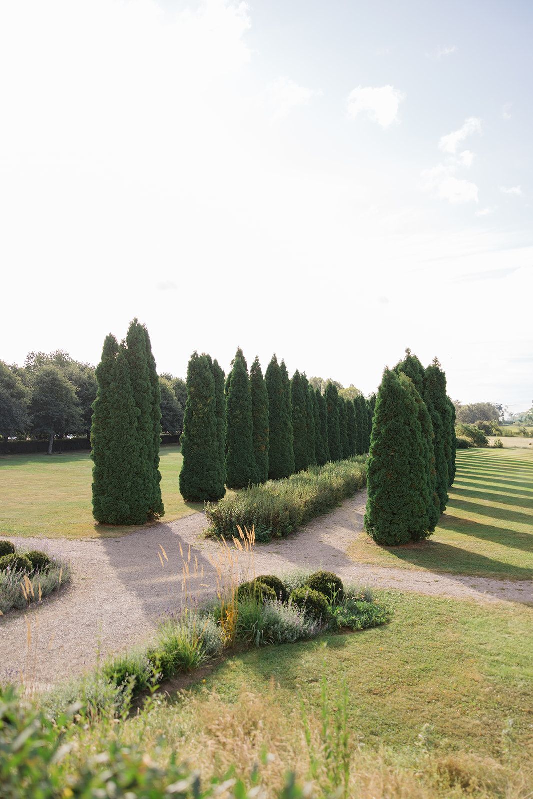 A row of tall evergreen cypress trees lines a curved gravel path in a landscaped garden setting.