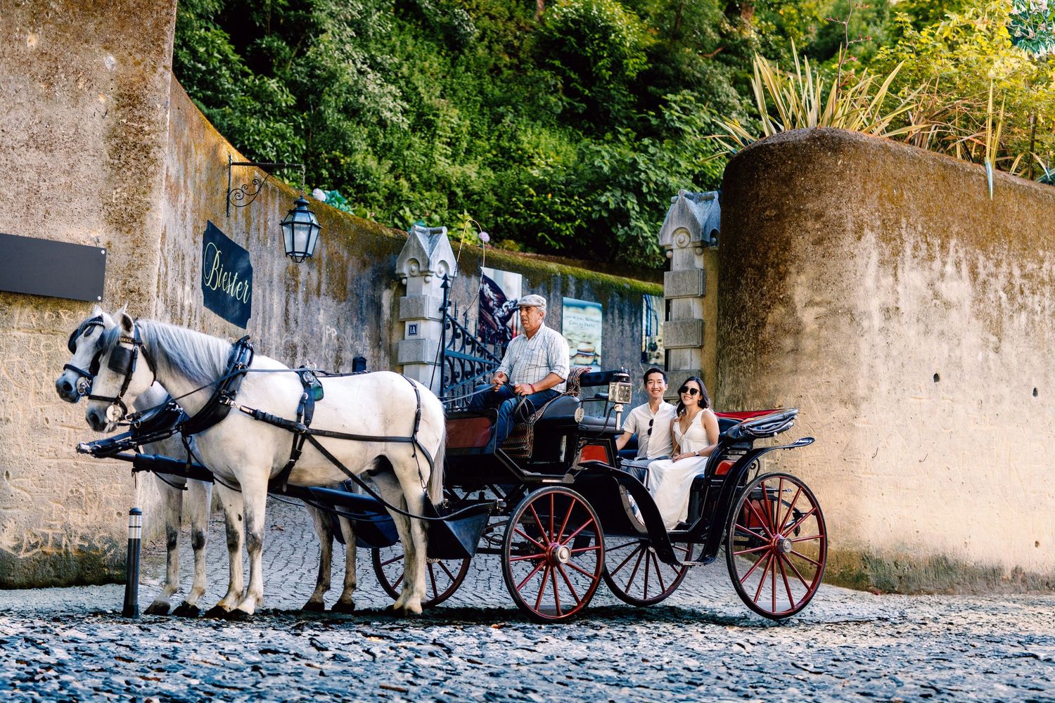 Horse-drawn carriage on a historic cobblestone street showcasing traditional transportation and old world charm.