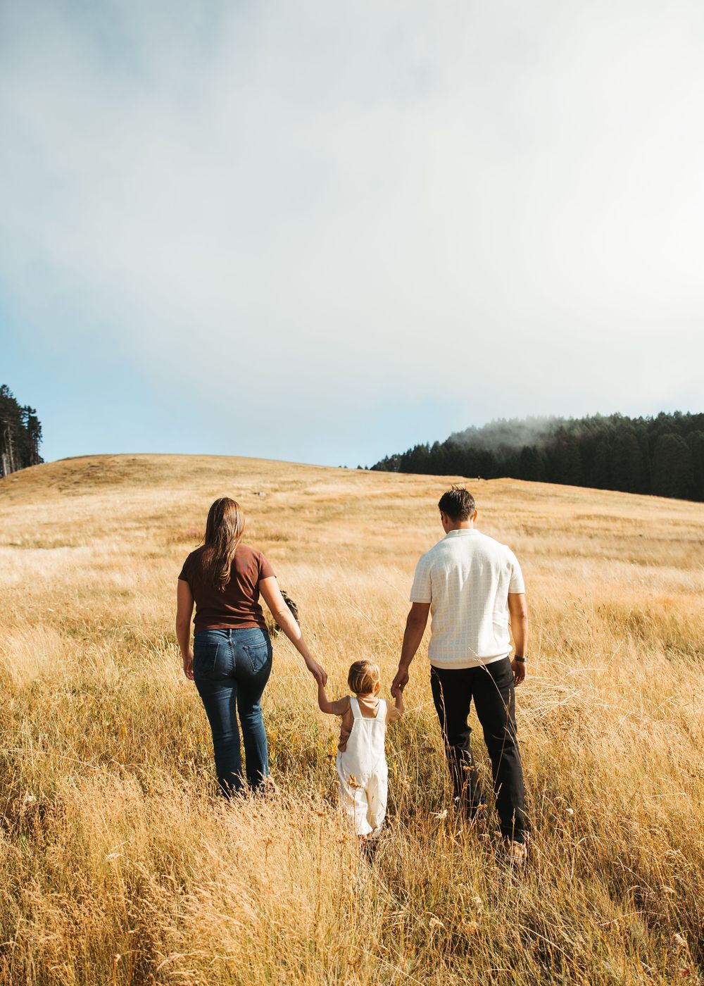 A family of three walks hand-in-hand through golden meadow hills, parents guiding young child toward treeline.