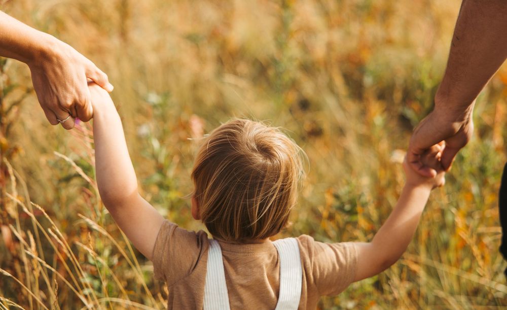 Young child holding hands with two adults walking through a golden sunlit meadow, viewed from behind.
