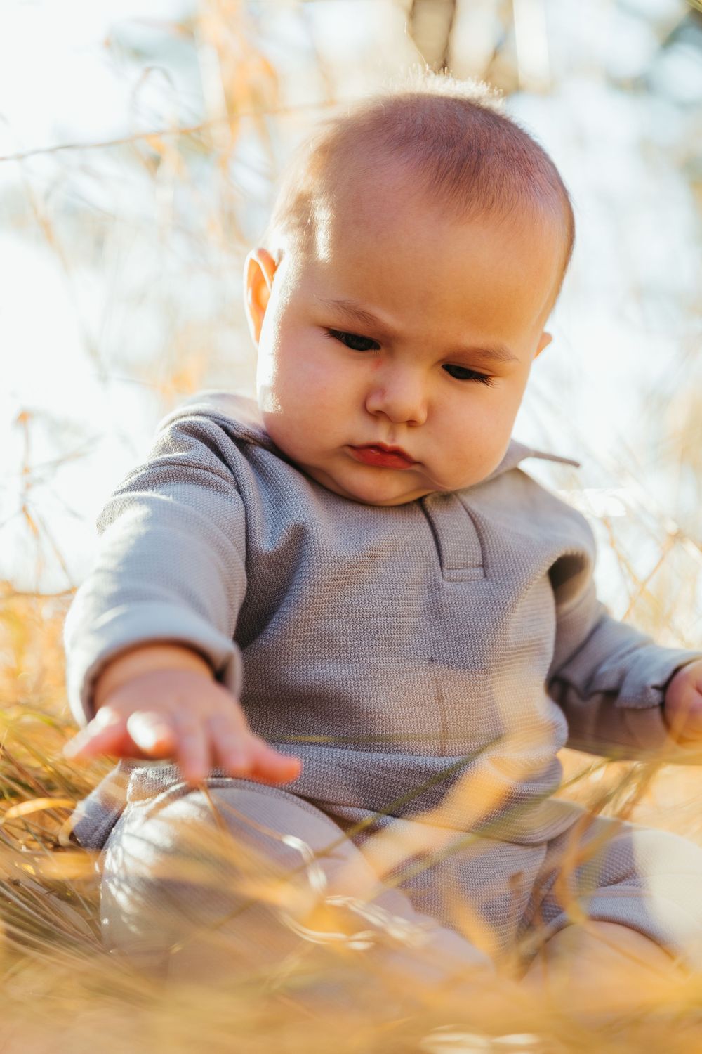 A baby in gray clothing explores fallen autumn leaves on the ground during a sunny outdoor photo session.