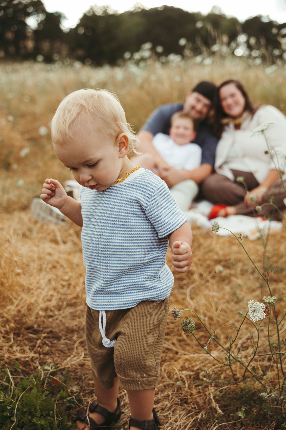 Toddler boy standing in golden field while family relaxes on blanket behind him during outdoor photo session.