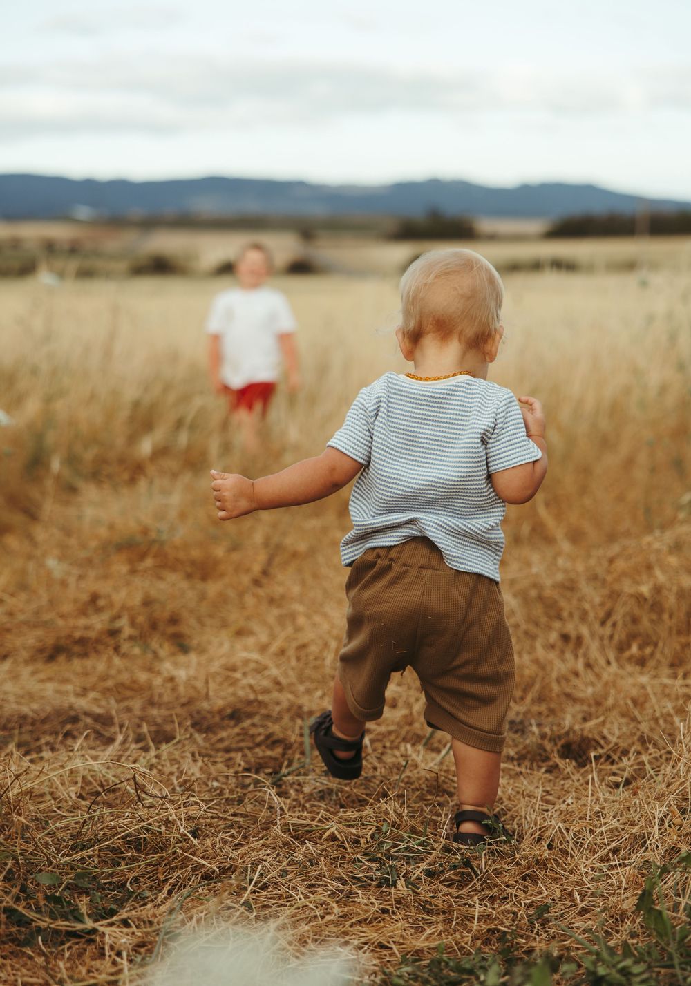 Two young toddlers playing in a golden field, one running toward the other under a cloudy sky.