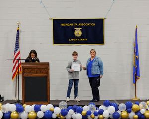 A line of blue and yellow balloons decorates the bottom of a wall with flags and a podium in a meeting room.