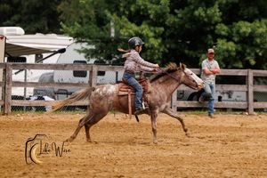 Horse and rider perform a fast-paced barrel racing maneuver in a dusty arena during competition.