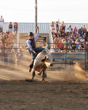 A sequence of rodeo action shots showing a rider being thrown from a bucking horse in an outdoor arena with spectators.