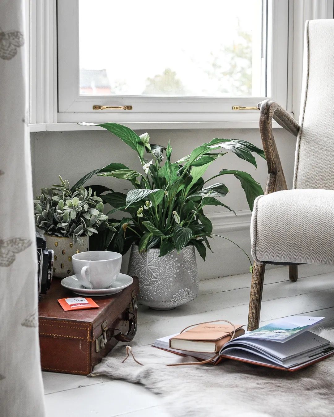 Cosy reading corner with indoor plants, coffee, and books beside a bright window.