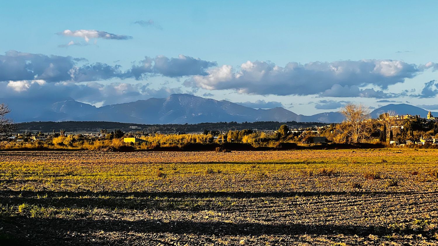 Golden autumn landscape with mountain range and scattered clouds in the background near Taos, New Mexico.