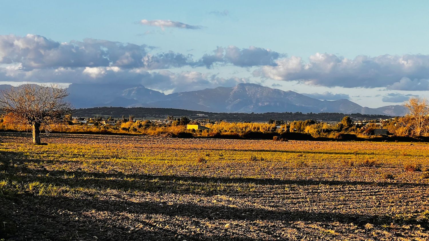 Panoramic mountain landscape with golden autumn fields and snow-capped peaks under a cloudy blue sky.