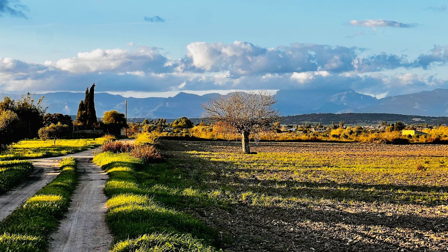 Panoramic landscape view of rolling fields and mountains with winding dirt roads under dramatic cloudy skies.
