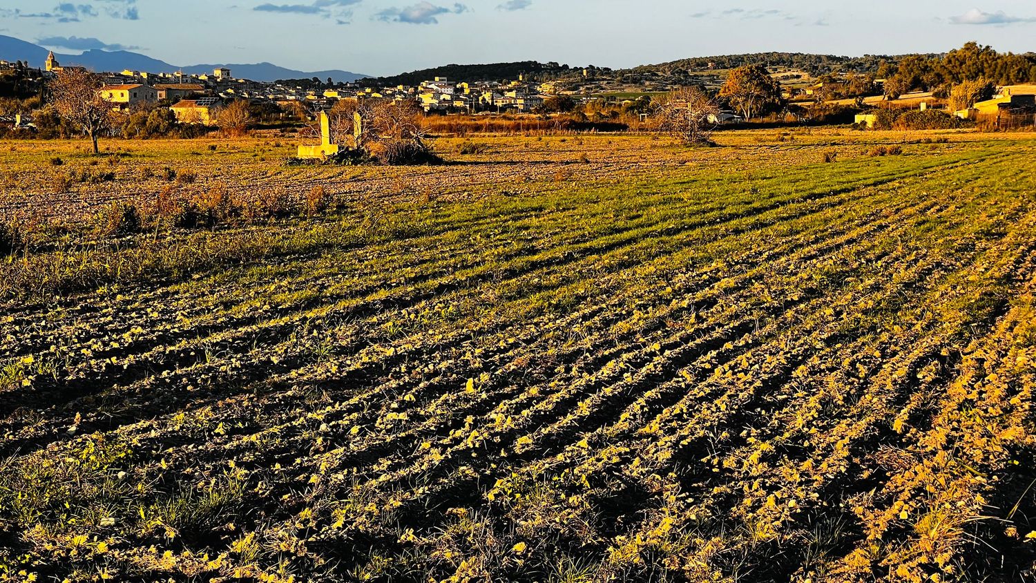 A panoramic view of plowed agricultural fields stretching across rolling hills under a bright blue autumn sky.