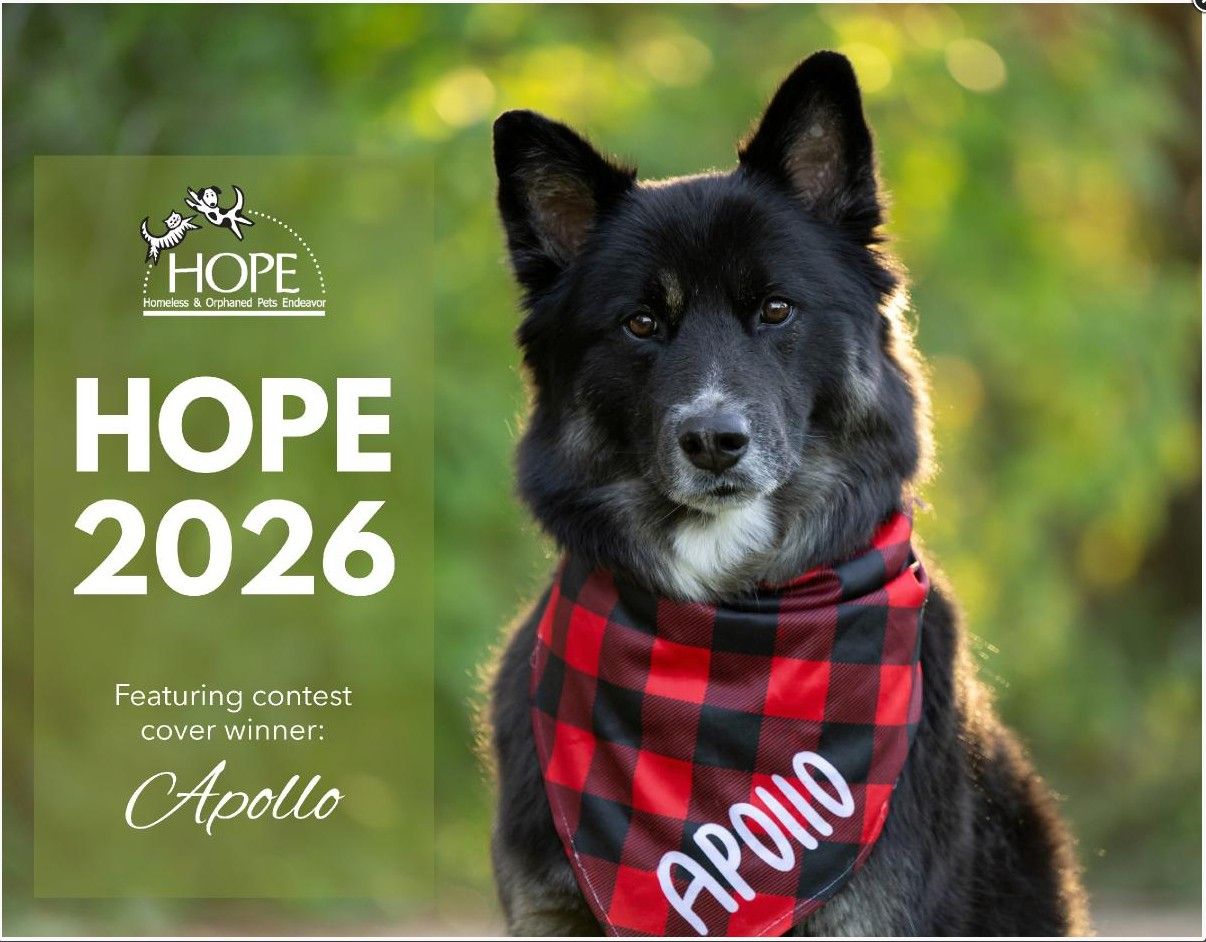 Cover photo of the HOPE 2026 calendar.