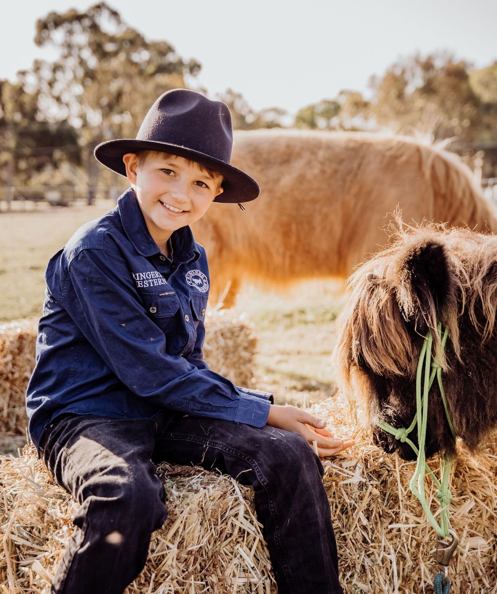 perth highland cows, highland cows, bullsbrook, farm stay, perth photography, perth families, family photos perth