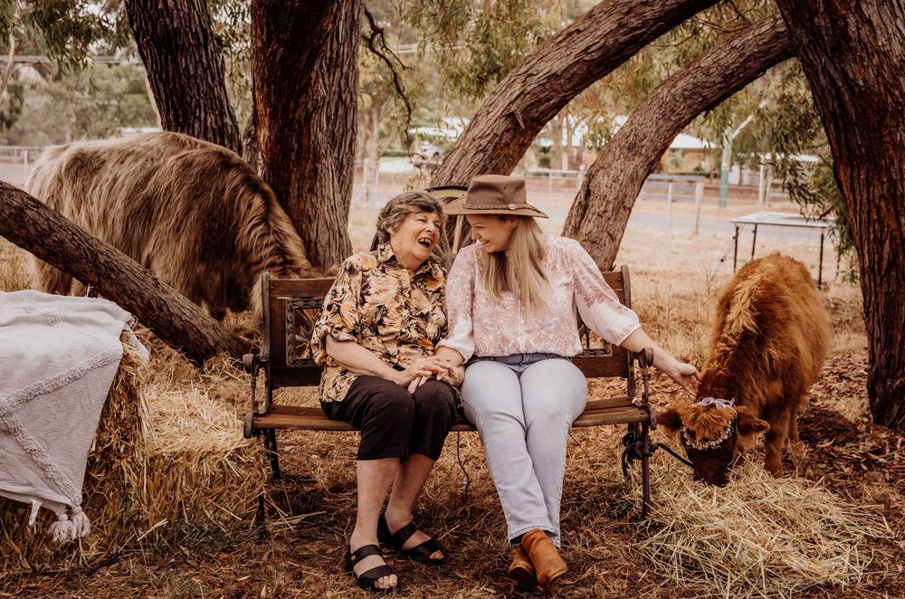 perth highland cows, highland cows, bullsbrook, farm stay, perth photography, perth families, family photos perth