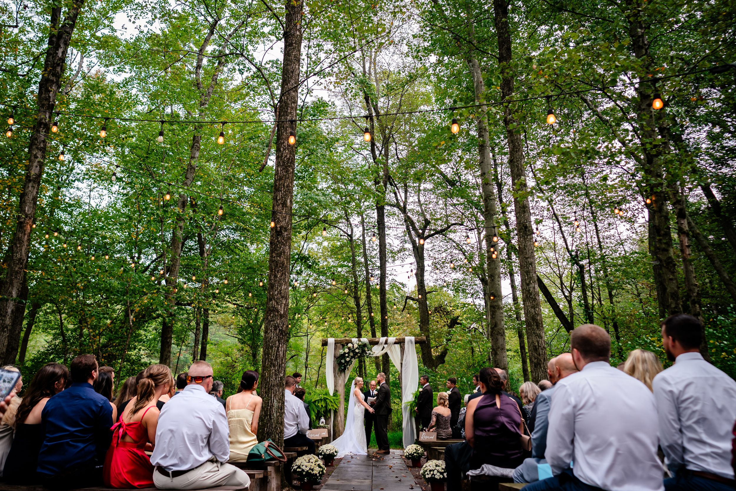 Guests gathered for an outdoor forest wedding ceremony with natural greenery backdrop.