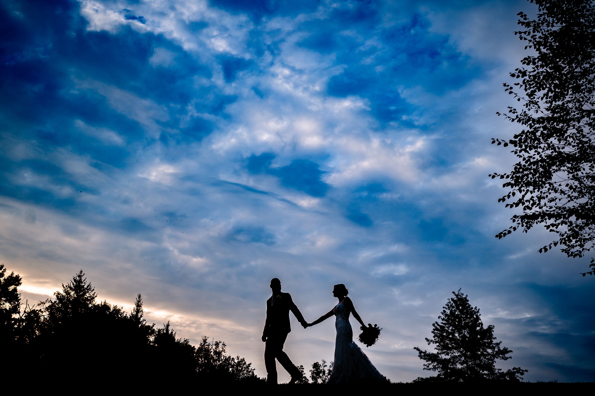 Silhouettes of a couple dancing against a vibrant blue sunset sky with trees in the background.