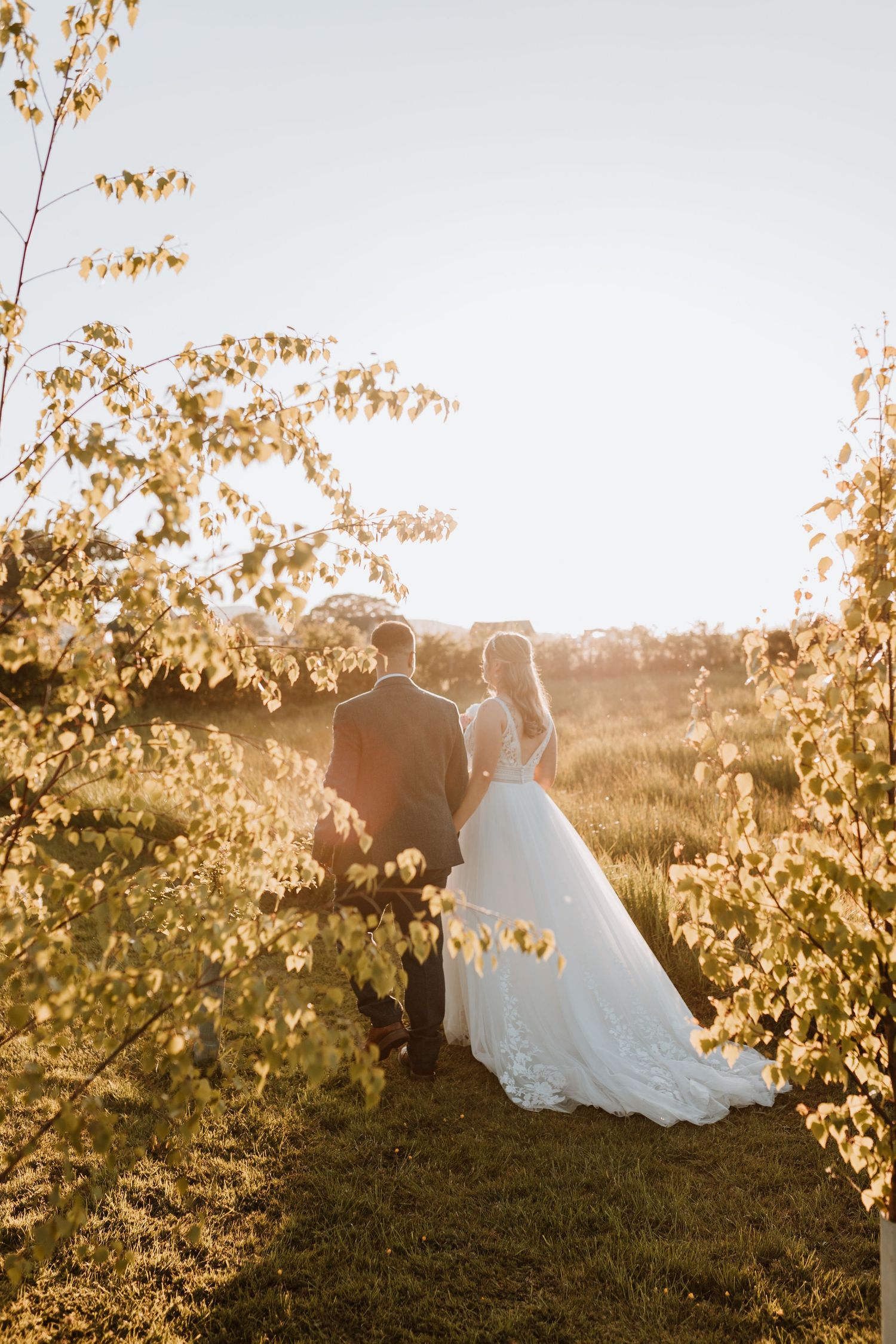 A wedding couple stands silhouetted against golden sunlight filtering through autumn leaves in a romantic outdoor scene at Stanford Farm