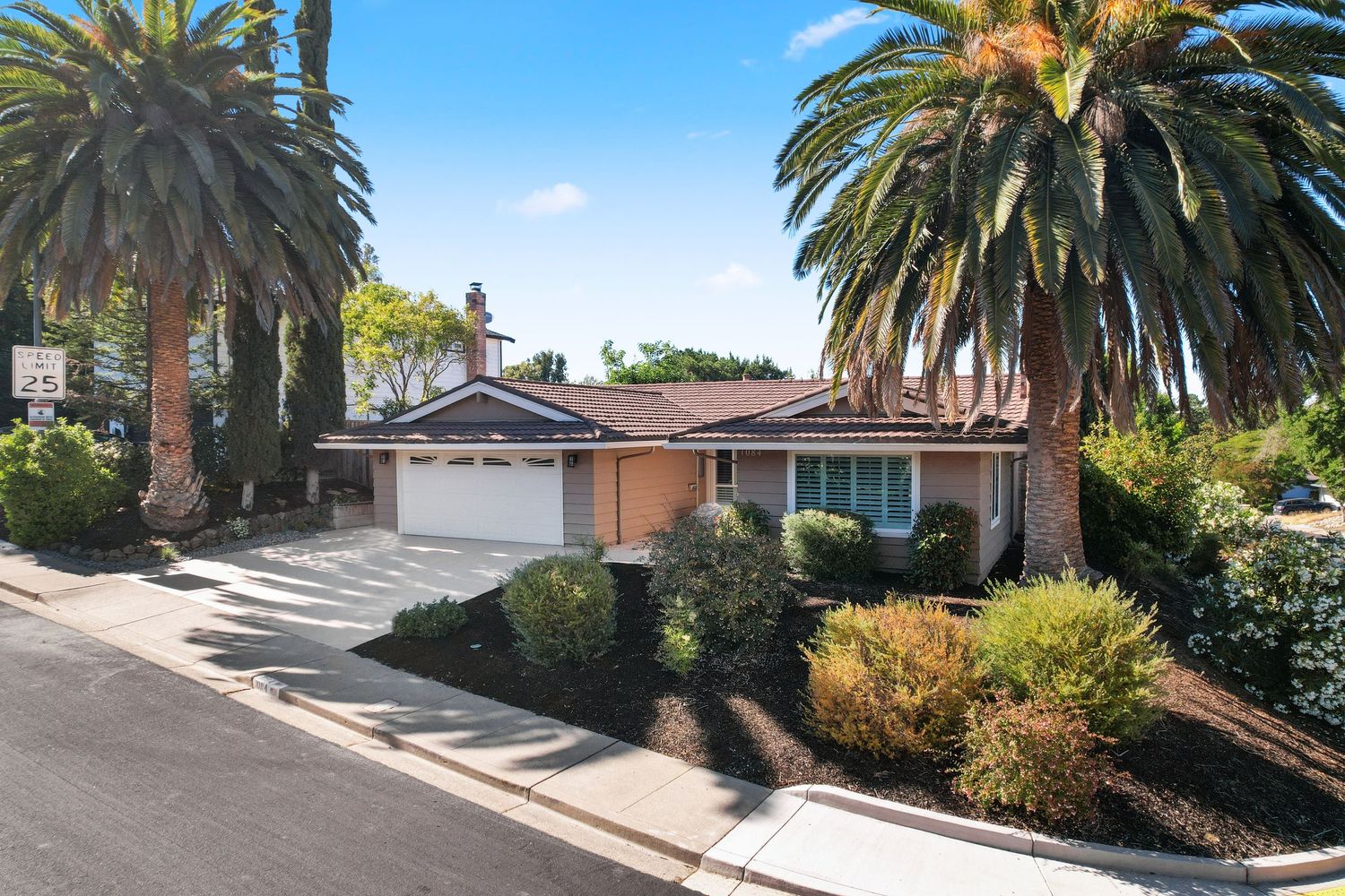 Palm trees line a curved concrete driveway leading to a residential property in a sunny neighborhood.